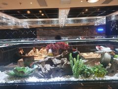 -红辣椒·川菜·火锅(张杨路店)