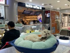 -巴黎春天(陕西路店)