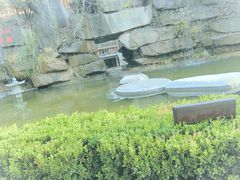 -西安国际创新人才交流中心•药浴温泉