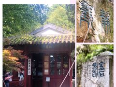 -西泠印社