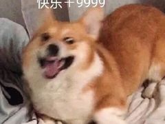 -八张桌子(老店)