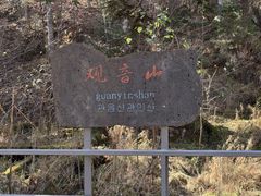 -五营红松林海景区