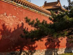 -北陵公园