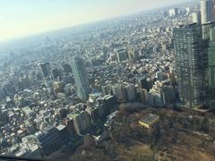 -东京都厅舍