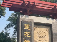 -莲花池公园