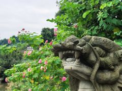 -张坝桂圆林公园