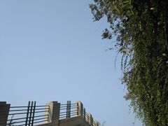 -观象山公园