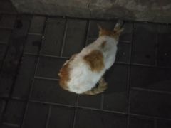 -百谜机械解谜工场
