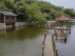 -北岭山森林公园