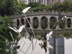 -四海公园(南山区)