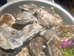 -喜多鲜生海鲜自助(无锡旗舰店)
