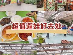 -南宫五洲植物乐园