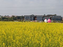 -长洲岛