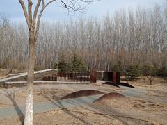 -东郊湿地公园