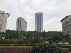 -西京医院