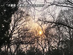 -灵谷景区