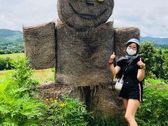 -黄色小屋