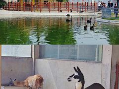 -商丘市人民公园