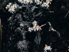 -山王坪喀斯特国家生态公园