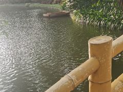 -晓港公园