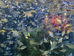 -成都浩海立方海洋公园
