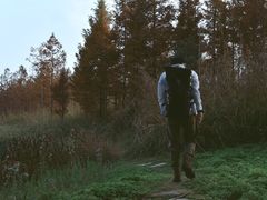 -白鹭湾湿地公园