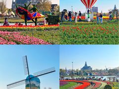 -荷兰花海