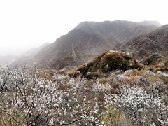 -大岭沟猕猴桃谷风景区