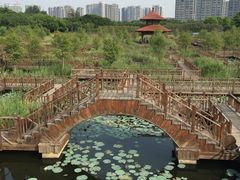 -五缘湾湿地公园