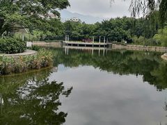-竹湖园公园