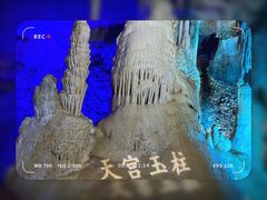 -鲁山国家森林公园