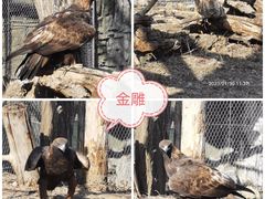 -北京动物园