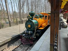 -合肥滨湖国家森林公园