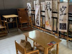 -豆逗聊愈猫阁Easy Life