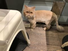 -小时光咖啡馆(开森度假森林店)
