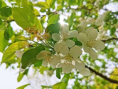 -东郊湿地公园