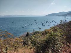 -抚仙湖禄充风景区