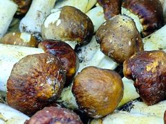 -贵州人家·酸汤火锅·20年老字号