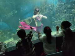 -嘉兴海底世界