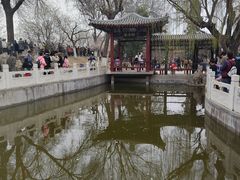 -桃花堤公园