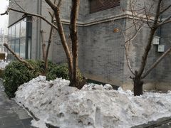 -龙湖星悦荟(颐和店)