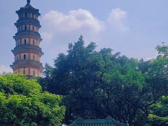 -广州莲花山旅游区