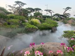 -罗红摄影艺术馆