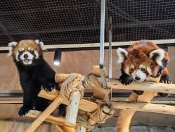 -Zoolung Zoolung动物主题公园(海信广场店)