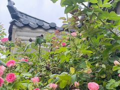 -西山风景区