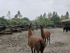 -宁波野生动物园