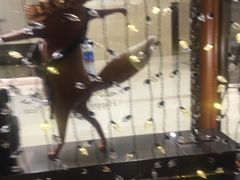 -COACH蔻驰(星光68广场店)