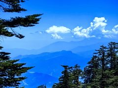 -瓦屋山景区