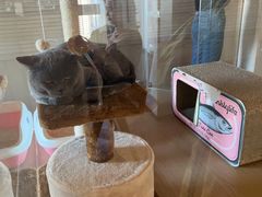 -Me Coffee下午茶艺术空间