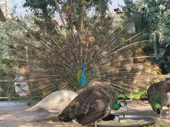 -重庆动物园·东二门售票处